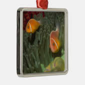 Roze anemonefish in Magnificant Zee Anemone Metalen Ornament (Rechts)