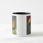 Roze anemonefish in Magnificant Zee Anemone Mok (Midden)