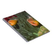 Roze anemonefish in Magnificant Zee Anemone Notitieboek (Rechterzijde)