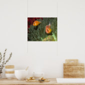 Roze anemonefish in Magnificant Zee Anemone Poster (Keuken)