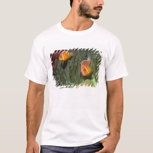 Roze anemonefish in Magnificant Zee Anemone T-shirt (Voorkant)