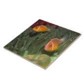 Roze anemonefish in Magnificant Zee Anemone Tegeltje (Zijkant)