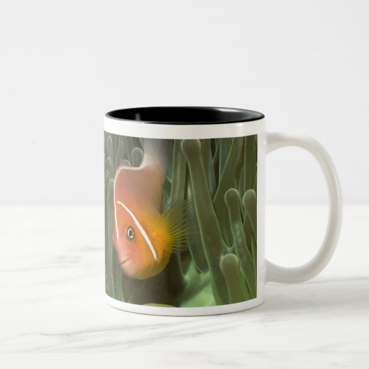 Roze anemonefish in Magnificant Zee Anemone Tweekleurige Koffiemok (Rechts)