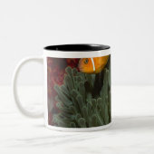 Roze anemonefish in Magnificant Zee Anemone Tweekleurige Koffiemok (Links)