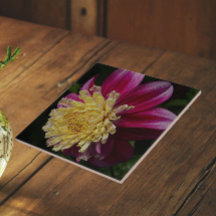 Roze Anemoon Dahlia Bloem Bloemstuk