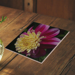 Roze Anemoon Dahlia Bloem Bloemstuk Tegeltje