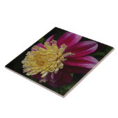 Roze Anemoon Dahlia Bloem Bloemstuk Tegeltje (Zijkant)