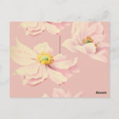 Roze Anemoon Roukaart Bedankkaart Briefkaart (Achterkant)