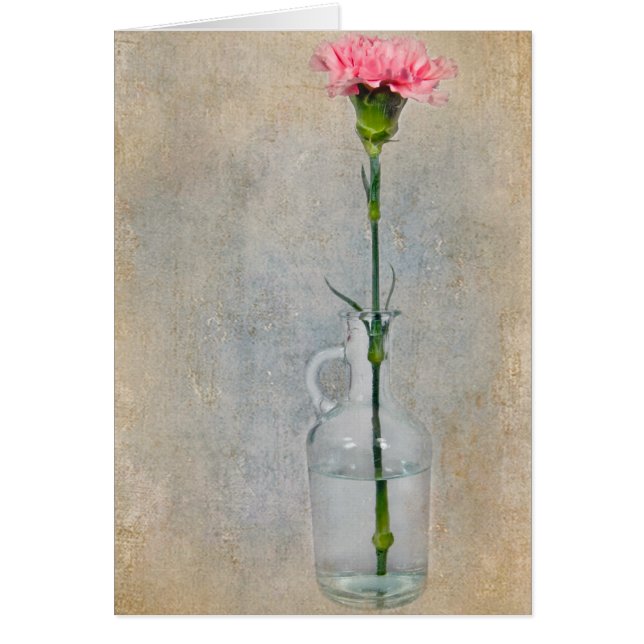 Roze anjer (Voorkant)