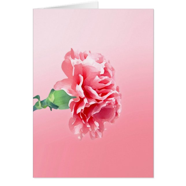 Roze anjer (Voorkant)