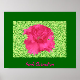 Roze anjer afdrukken poster