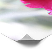 Roze anjer afdrukken poster (Hoek)