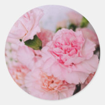 roze anjer bloemen vintage stijl fotografie