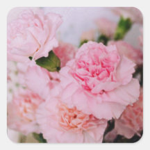 roze anjer bloemen vintage stijl fotografie