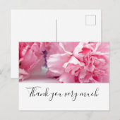 Roze anjer bloemen zijn op witte achtergrond briefkaart (Voorkant / Achterkant)
