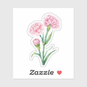 Roze Anjer Botanische Aquarel Aangepaste Naam Sticker
