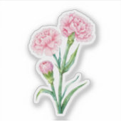 Roze Anjer Botanische Aquarel Aangepaste Naam Sticker (Voorkant)