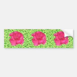 Roze anjer Bumpersticker