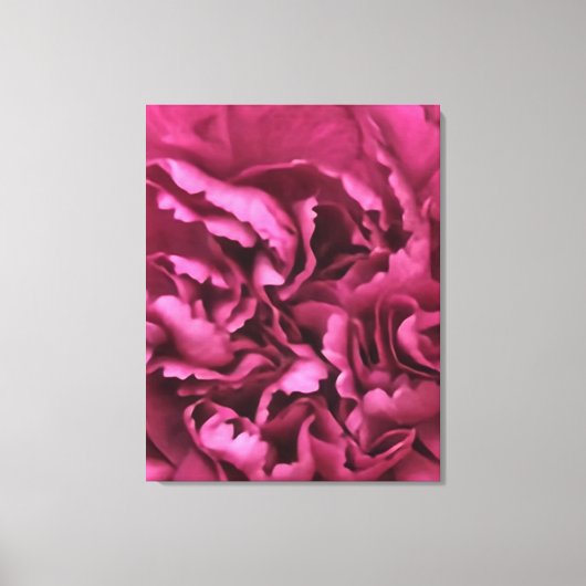 Roze anjer canvas afdruk (Voorkant)