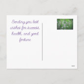 Roze anjer met mazen feestdagenkaart (Achterkant)