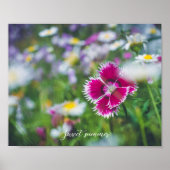 Roze anjer met mazen poster (Voorkant)