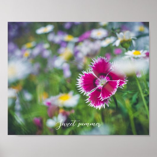 Roze anjer met mazen poster (Voorkant)