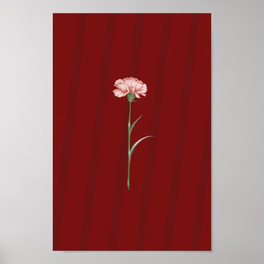 Roze Anjer op Rood – Romantisch Esthetisch Poster (Voorkant)