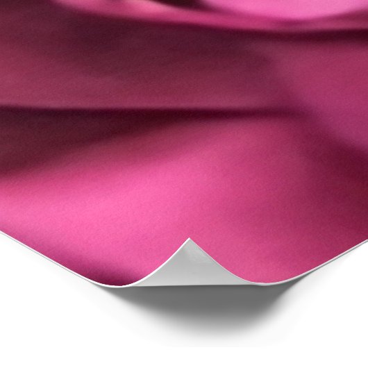 Roze anjer poster (Hoek)