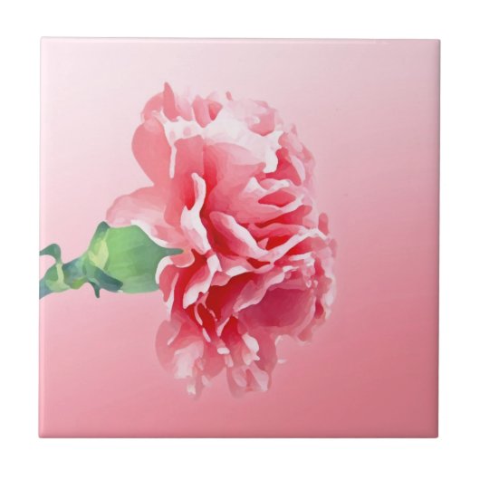 Roze anjer tegeltje (Voorkant)