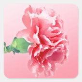 Roze anjer vierkante sticker (Voorkant)