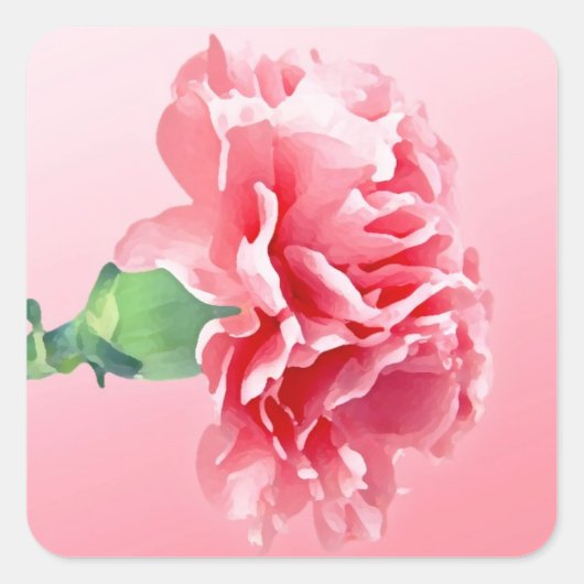 Roze anjer vierkante sticker (Voorkant)