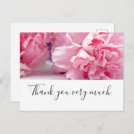 Roze anjerbloemen op witte achtergrond briefkaart (Voorkant / Achterkant)