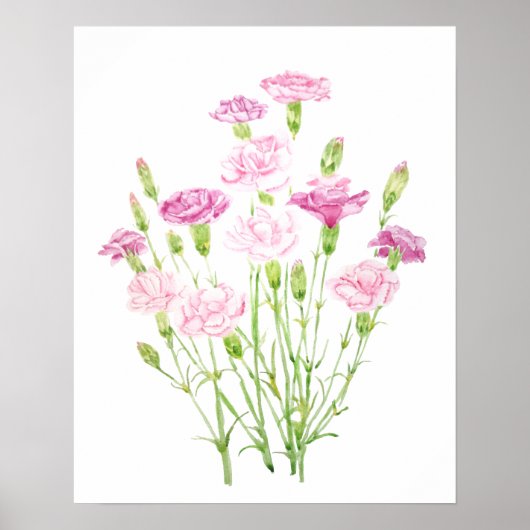 roze anjerbloemen waterverf poster (Voorkant)