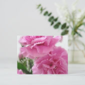Roze anjers 1 briefkaart (Staand voorkant)