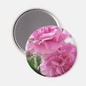 Roze anjers 1 magneet (Voorkant / Achterkant)