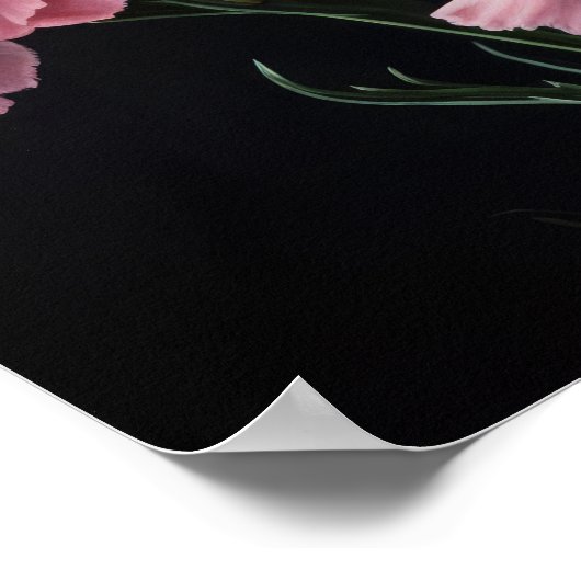 Roze Anjers Bloem Art Print Poster (Hoek)