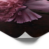 Roze Anjers Bloem Art Print Poster (Hoek)