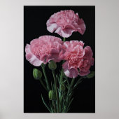 Roze Anjers Bloem Art Print Poster (Voorkant)