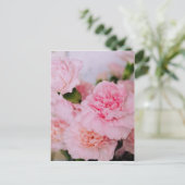 roze anjers bloemen  fotografie briefkaart (Staand voorkant)
