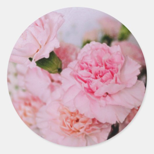 roze anjers bloemen  fotografie ronde sticker (Voorkant)