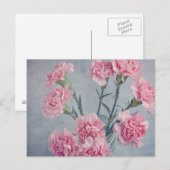 Roze anjers briefkaart (Voorkant / Achterkant)