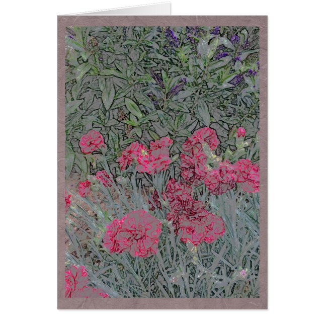 Roze anjers in een zomertuin (Voorkant)