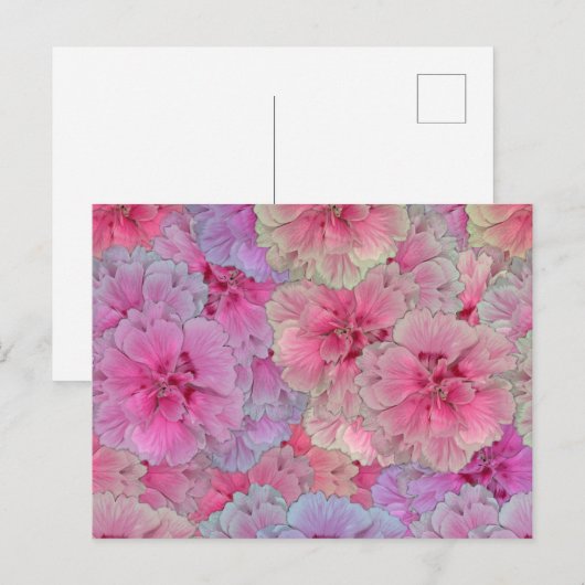 Roze anjers in stijl briefkaart (Voorkant / Achterkant)