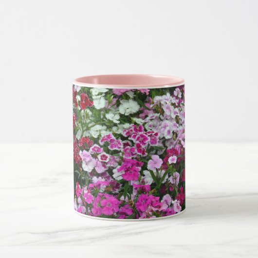 Roze anjers mok (Midden)