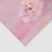  roze anjers stijlvolle fotografie tissuepapier (Detail)