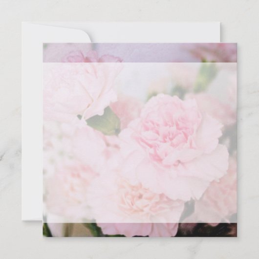 roze anjnbloemen alle partijen blanco kaart (Voorkant)