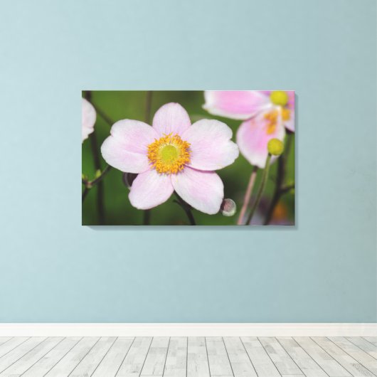 Roze annemon canvas afdruk (Insitu (Houten vloer))