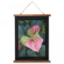 Roze Anthurium Bloeit met Zwarte Rand
