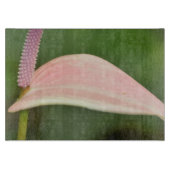 Roze Anthurium Bloem Kauai, Hawaï Snijplank (Voorkant)