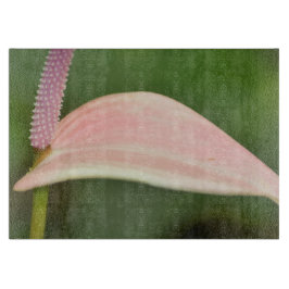 Roze Anthurium Bloem Kauai, Hawaï Snijplank